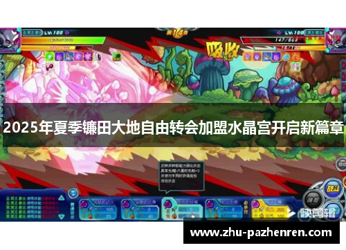 2025年夏季镰田大地自由转会加盟水晶宫开启新篇章 2025年夏季镰田大地自由转会加盟水晶宫开启新篇章